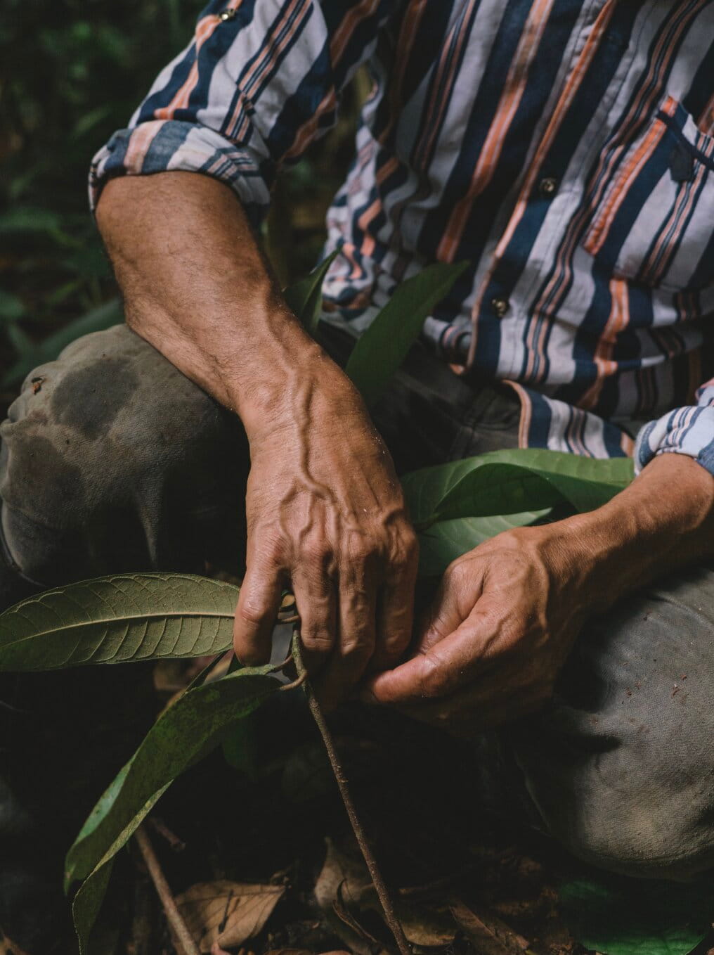 Sustainability placeholder image