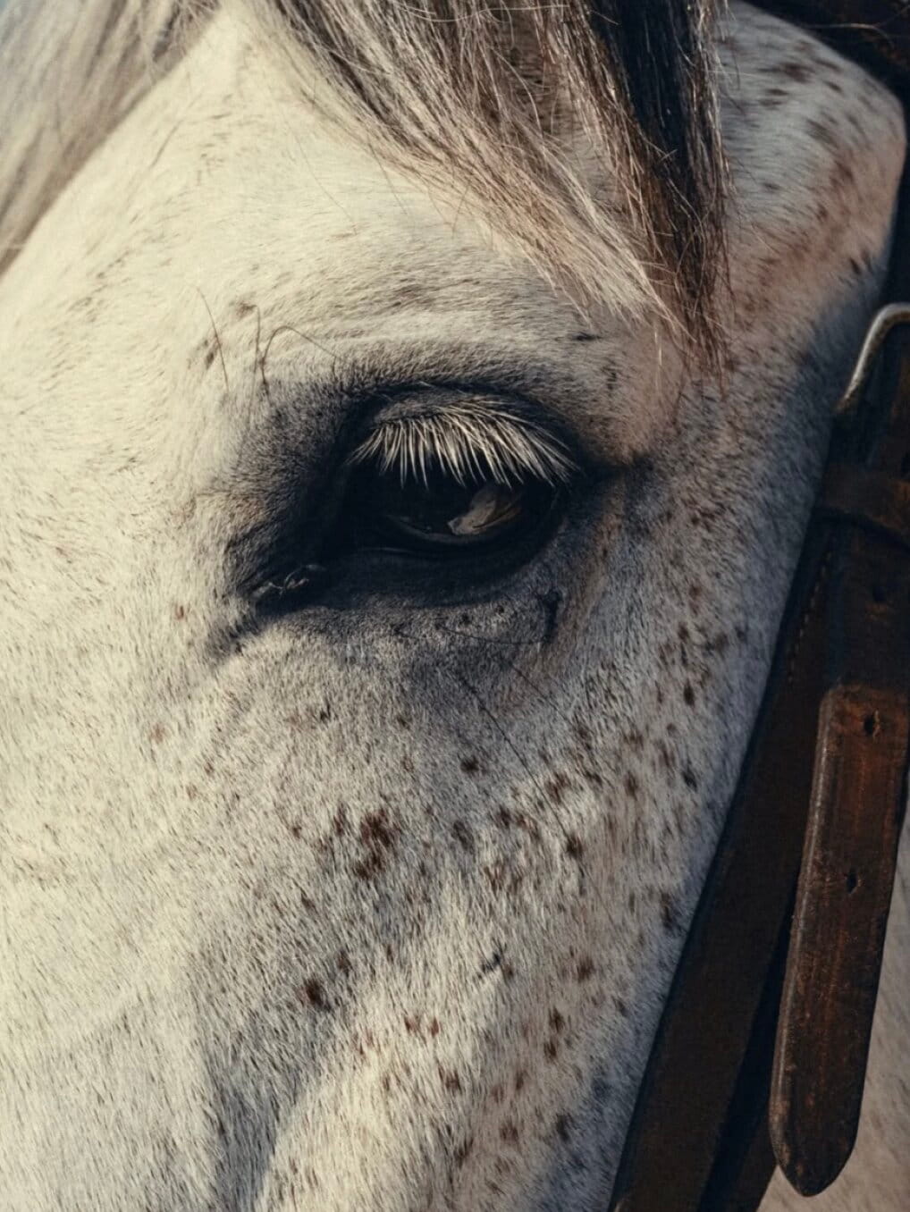 Cost efficiency placeholder image