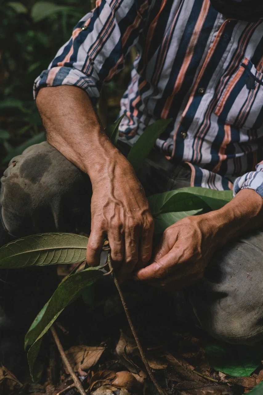 Selected work for Rody Oliveira